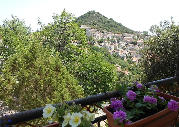 Apartment Petar
